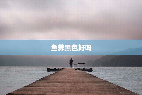 鱼养黑色好吗