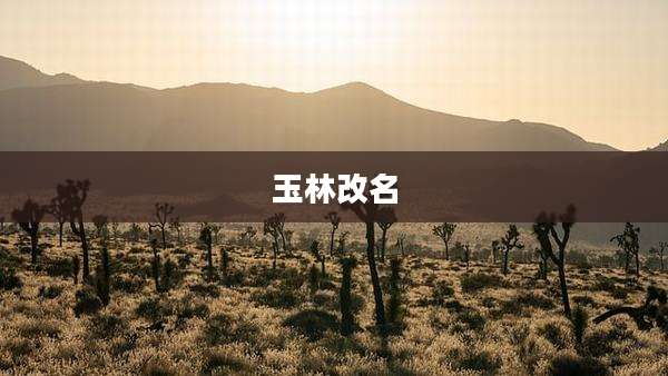 玉林改名