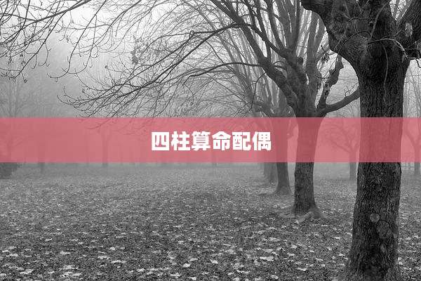 四柱算命配偶