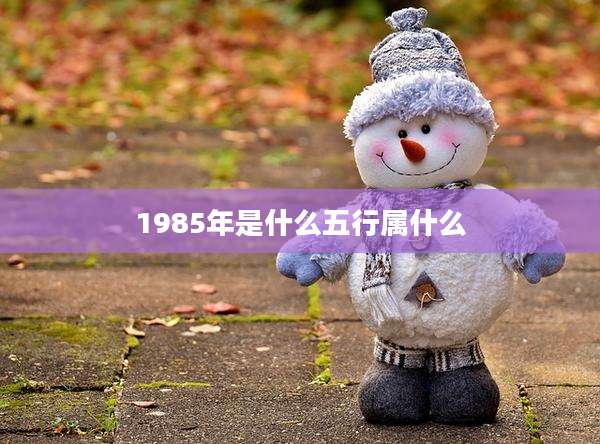1985年是什么五行属什么