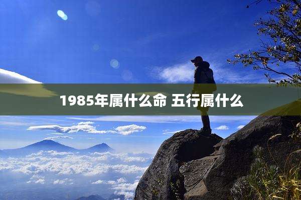 1985年属什么命 五行属什么
