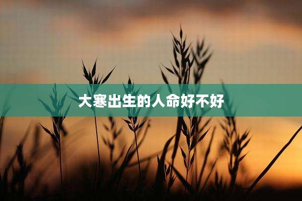 大寒出生的人命好不好