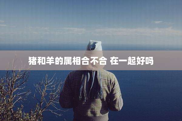 猪和羊的属相合不合 在一起好吗
