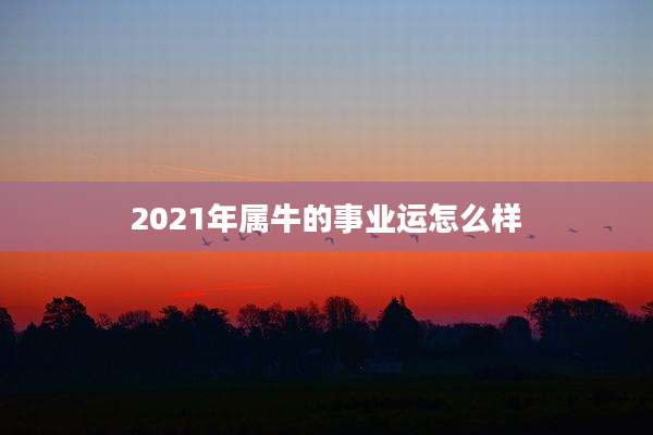 2021年属牛的事业运怎么样
