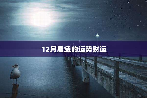 12月属兔的运势财运