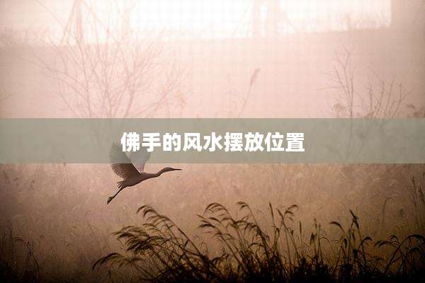 佛手的风水摆放位置