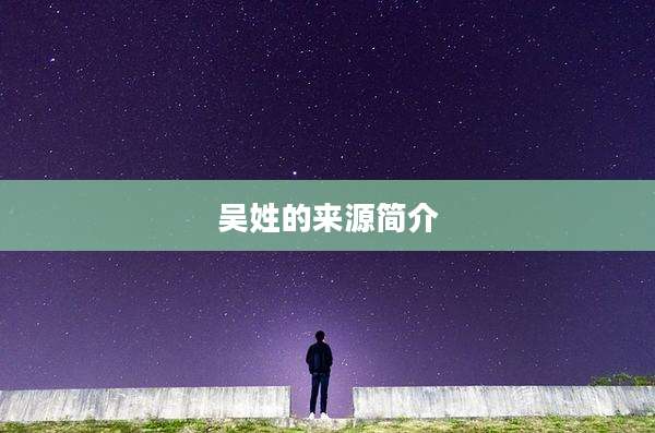 吴姓的来源简介