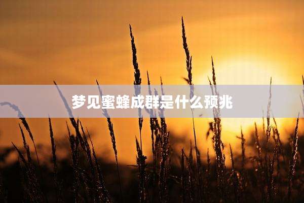梦见蜜蜂成群是什么预兆