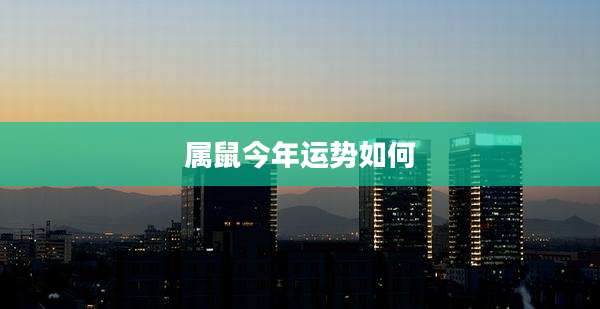 属鼠今年运势如何