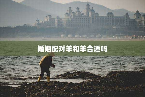婚姻配对羊和羊合适吗