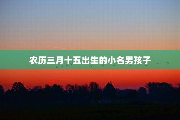 农历三月十五出生的小名男孩子