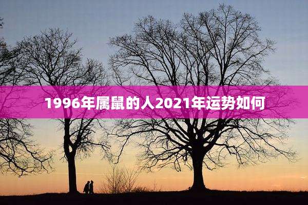 1996年属鼠的人2021年运势如何