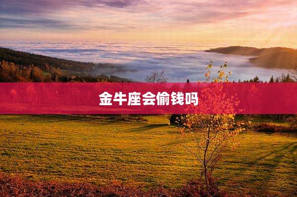 金牛座会偷钱吗