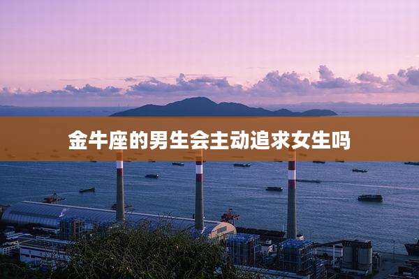 金牛座的男生会主动追求女生吗