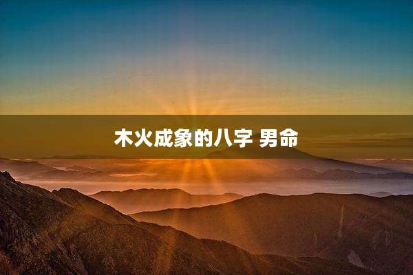 木火成象的八字 男命