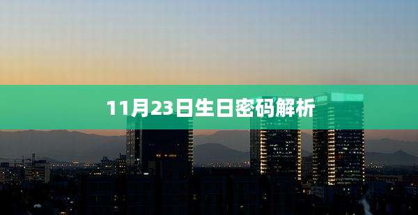 11月23日生日密码解析