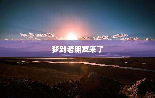 梦到老朋友来了