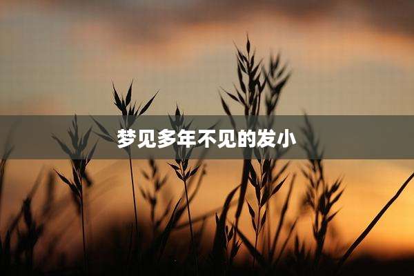 梦见多年不见的发小