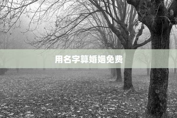 用名字算婚姻免费