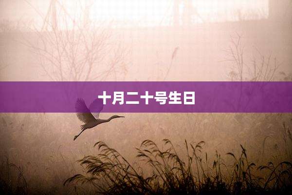 十月二十号生日