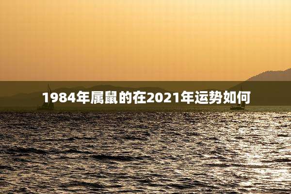 1984年属鼠的在2021年运势如何
