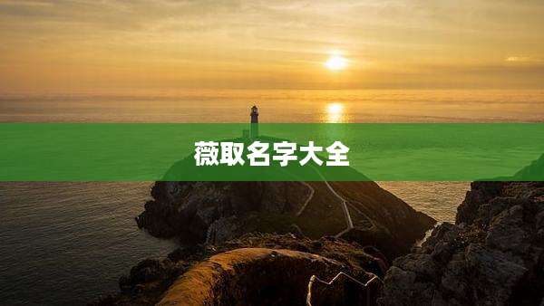 薇取名字大全