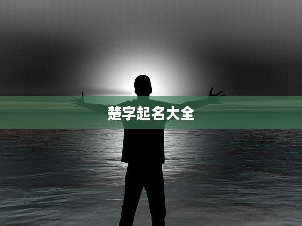 楚字起名大全