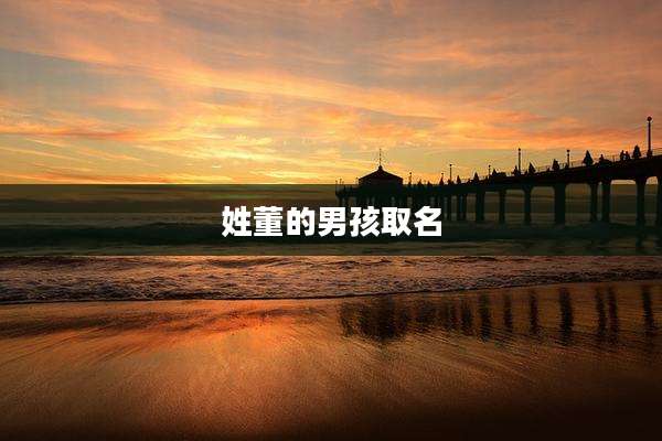 姓董的男孩取名