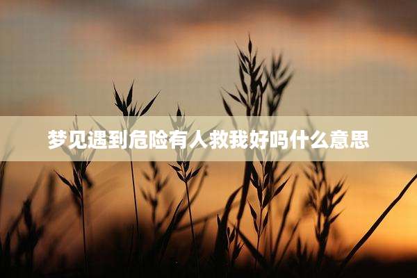 梦见遇到危险有人救我好吗什么意思