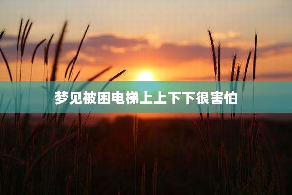 梦见被困电梯上上下下很害怕