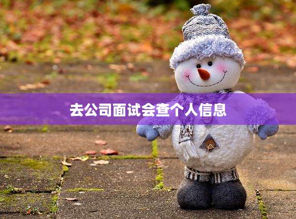 去公司面试会查个人信息