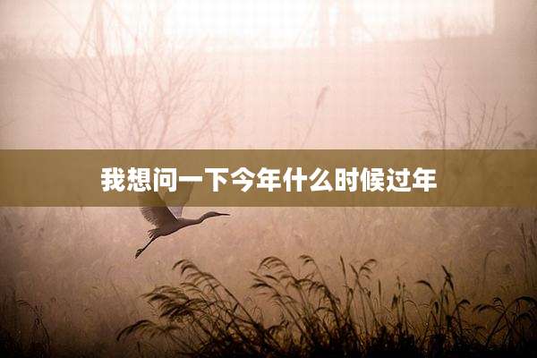 我想问一下今年什么时候过年