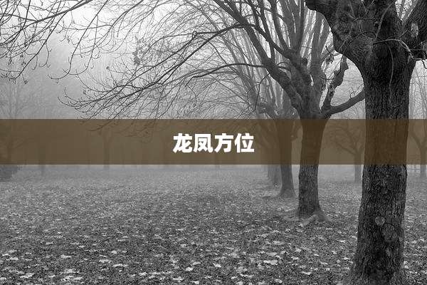 龙凤方位