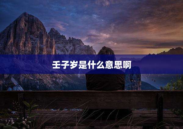 壬子岁是什么意思啊