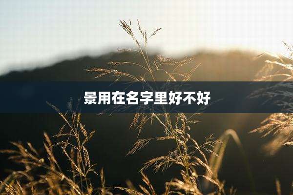 景用在名字里好不好