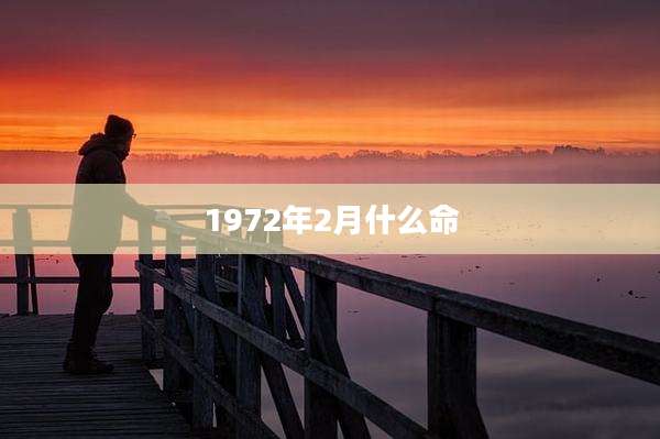 1972年2月什么命