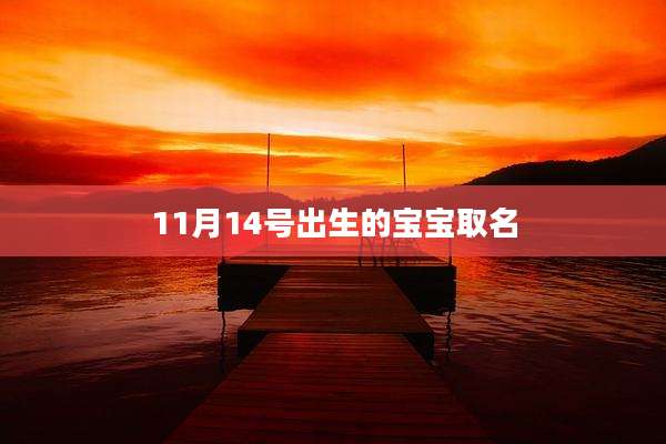 11月14号出生的宝宝取名