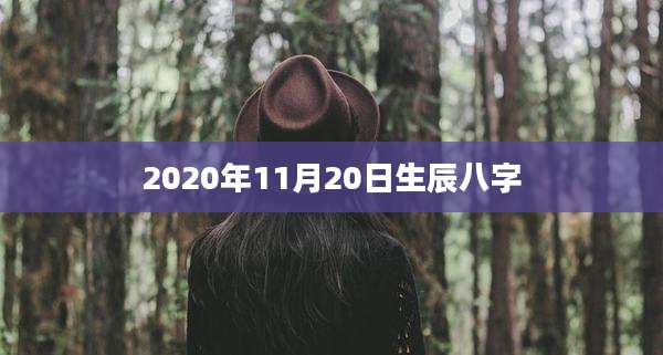 2020年11月20日生辰八字