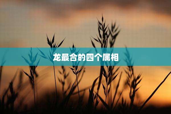 龙最合的四个属相