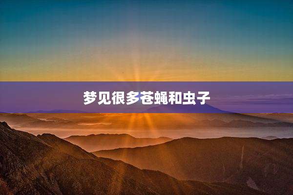 梦见很多苍蝇和虫子