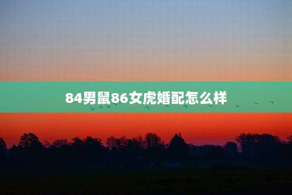 84男鼠86女虎婚配怎么样