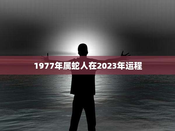 1977年属蛇人在2023年运程