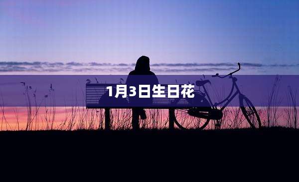 1月3日生日花