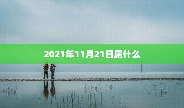 2021年11月21日属什么
