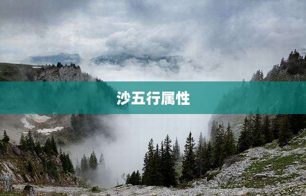 沙五行属性