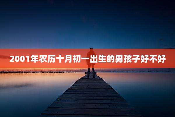 2001年农历十月初一出生的男孩子好不好