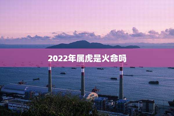 2022年属虎是火命吗