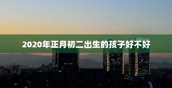 2020年正月初二出生的孩子好不好