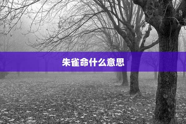 朱雀命什么意思