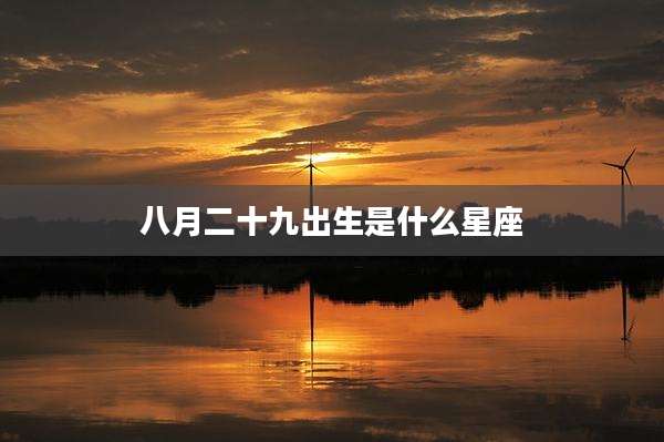 八月二十九出生是什么星座